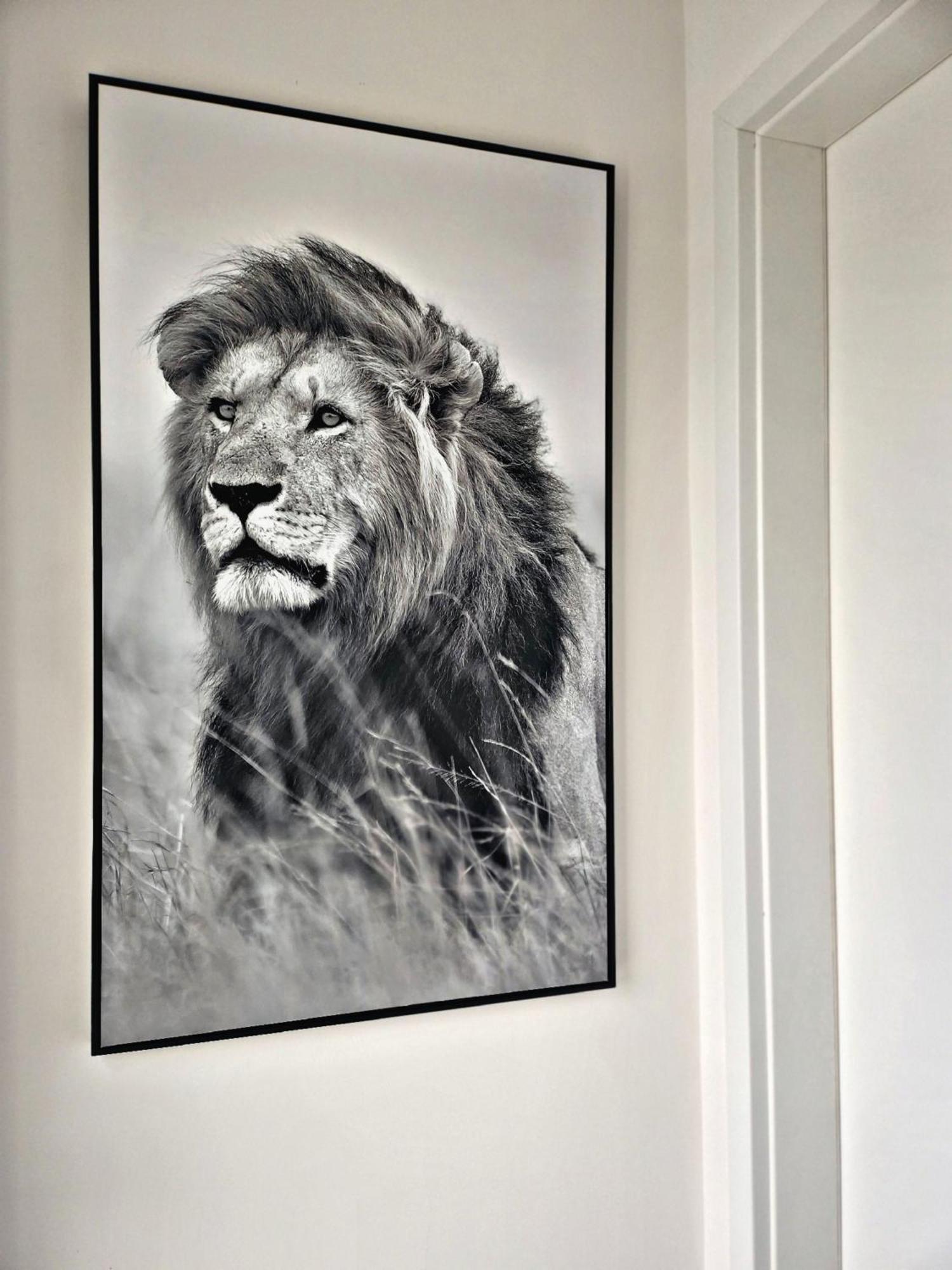 Lions Place Premium Apartments Comfort Optionaler Zugang Zum Spa- Bereich ハイデンハイム・アン・デア・ブレンツ エクステリア 写真